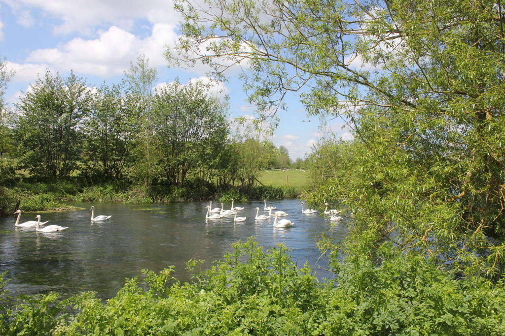 Hotel The Swan At Stoford Stapleford  Exteriér fotografie